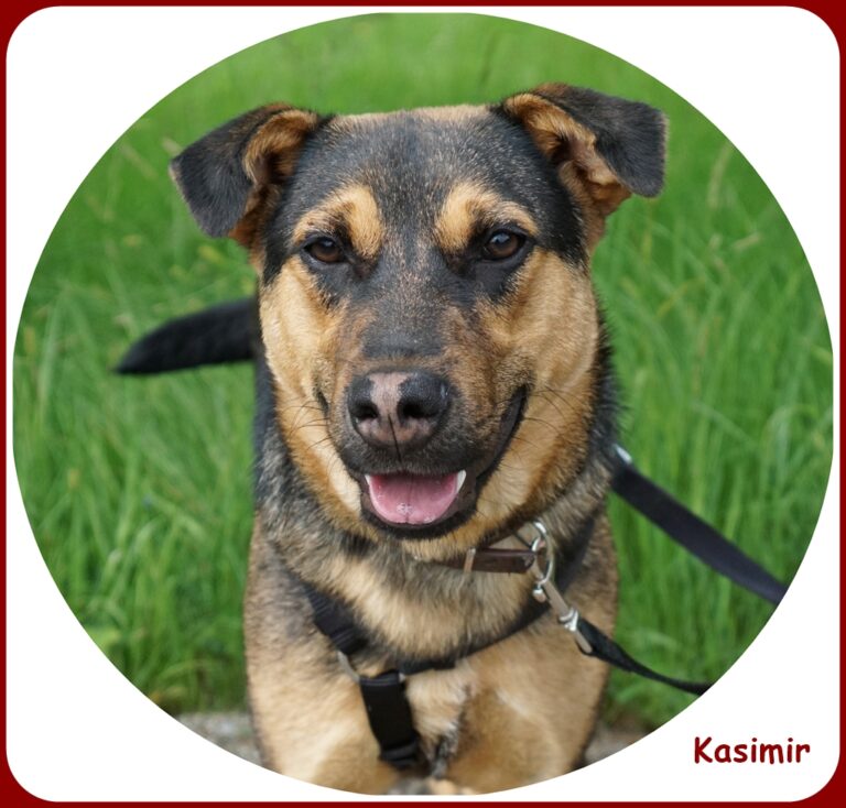 Kasimir